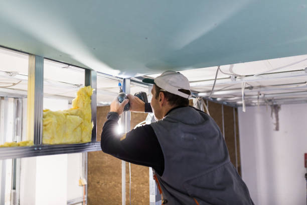 Best Commercial Insulation in Wurtland, KY