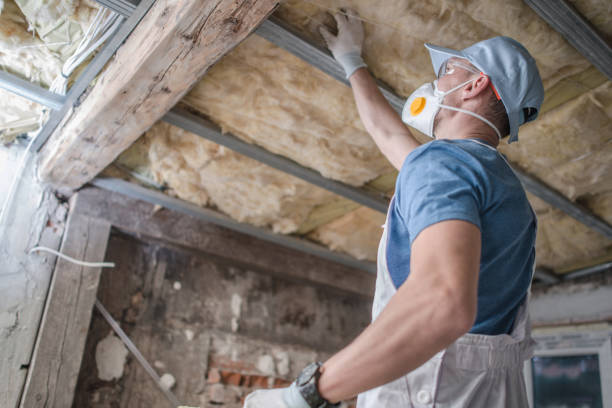 Best Insulation Installation Services in Wurtland, KY